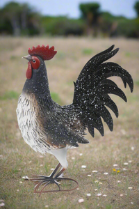 Garden metal cockerel/ hen white and black with white Specs named Daisy - Marissa's Garden & Gift