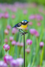 Indlæs billede til gallerivisning Handmade powder coated Blue tit on a pole sculpture 130cm tall
