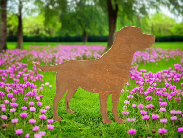 Rusty metal labrador outdoor and garden gift, labrador gift, labrador garden ornament, labrador memorial measuring 35 x 0.4 x 42 cm