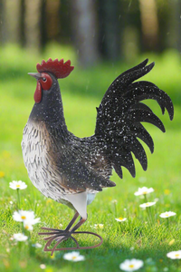 Garden metal cockerel/ hen white and black with white Specs named Daisy - Marissa's Garden & Gift