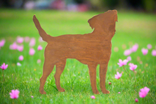 Load image into Gallery viewer, Small Rustic Metal Exterior Rusty Border Terrier Dog Garden Stake Yard Art Kennel Run Flower Bed Sculpture Gift Present measuring 30 x 0.4 x 42cm
