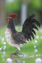 Load image into Gallery viewer, Garden metal cockerel/ hen white and black with white Specs named Daisy - Marissa&#39;s Garden &amp; Gift
