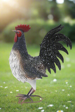 Load image into Gallery viewer, Garden metal cockerel/ hen white and black with white Specs named Daisy - Marissa&#39;s Garden &amp; Gift
