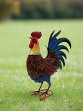 Afbeelding in Gallery-weergave laden, Garden metal cockerel/ hen red and blue named Isaac measuring 16 x32 x 45cm - Marissa&#39;s Garden &amp; Gift
