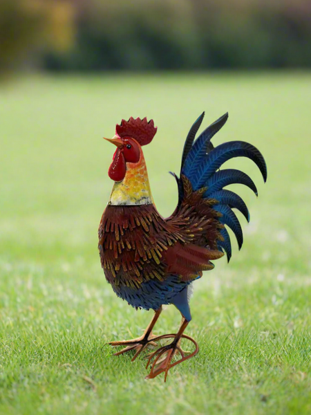 Garden metal cockerel/ hen red and blue named Isaac measuring 16 x32 x 45cm - Marissa's Garden & Gift