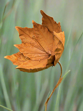 Indlæs billede til gallerivisning Handmade garden/outdoor tulip metal garden flower 120cm - Marissa&#39;s Garden &amp; Gift
