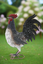 Load image into Gallery viewer, Garden metal cockerel/ hen white and black with white Specs named Daisy - Marissa&#39;s Garden &amp; Gift
