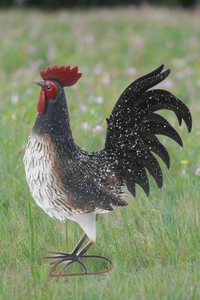 Garden metal cockerel/ hen white and black with white Specs named Daisy - Marissa's Garden & Gift