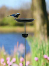 Load image into Gallery viewer, Blue tit bird feeder for garden/outdoor - Marissa&#39;s Garden &amp; Gift
