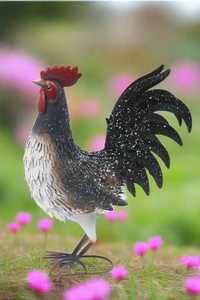 Garden metal cockerel/ hen white and black with white Specs named Daisy - Marissa's Garden & Gift