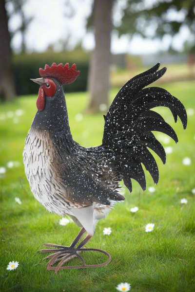 Garden metal cockerel/ hen white and black with white Specs named Daisy - Marissa's Garden & Gift