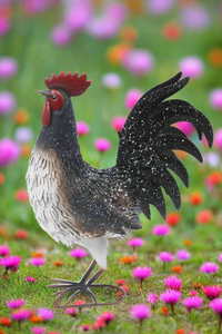 Garden metal cockerel/ hen white and black with white Specs named Daisy - Marissa's Garden & Gift