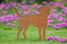 Load image into Gallery viewer, Small Rustic Metal Exterior Rusty Border Terrier Dog Garden Stake Yard Art Kennel Run Flower Bed Sculpture Gift Present measuring 30 x 0.4 x 42cm
