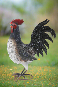 Garden metal cockerel/ hen white and black with white Specs named Daisy - Marissa's Garden & Gift