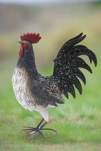 Garden metal cockerel/ hen white and black with white Specs named Daisy - Marissa's Garden & Gift