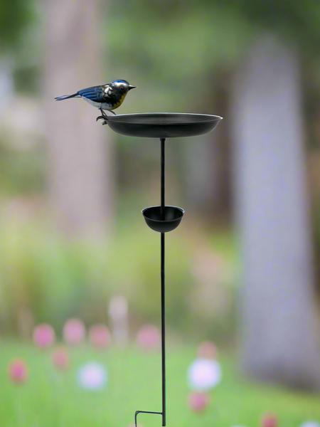 Blue tit bird feeder for garden/outdoor