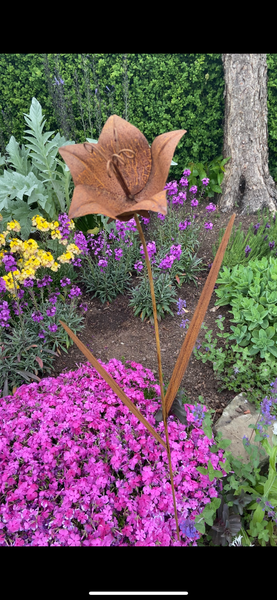 Rusty Amaryllis 120cm